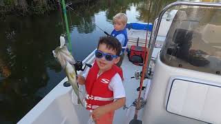 Caught Alligator while fishing w toddlers [upl. by Leontine]