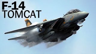 F14 Tomcat  Top Gun для моряков [upl. by Yeltsew]