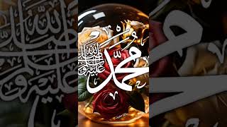 very emotional poetry Agmal Raza Qadri islmic status [upl. by Agatha]