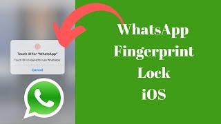 How to Use WHATSAPP FINGERPRINT LOCK on iOS iPhone [upl. by Giselle]