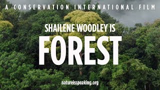 Nature Is Speaking Shailene Woodley is Forest [upl. by Eanad]