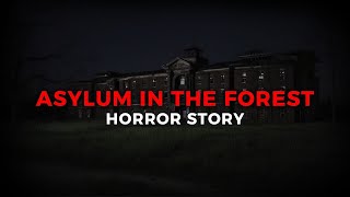 Asylum in the Forrest [upl. by Einnor]