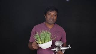 How to make Wheat Grass juice using a manual hand juicer  How to prepare wheat grass Juice at Home [upl. by Enirehtac]