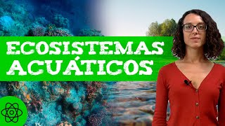 Qué son los ECOSISTEMAS ACUÁTICOS 🌊 Tipos [upl. by Egedan]