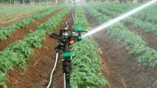 a spriklers system I instaled in India for Jain irrigation co [upl. by Beard]