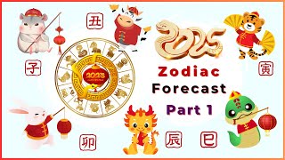 2025 Snake Year Chinese Zodiac Forecast  Part 1 Rat Ox Tiger Rabbit Dragon Snake [upl. by Ahtebbat]