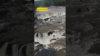 ✨Today ✅Hogenakkal Waterlevel💦 View🥺 update hogenakkal ontrending waterfalls shortsfeed [upl. by Aeduj]