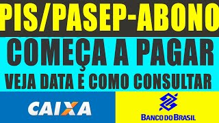 PISPasep Abono Salarial começa a ser pago no próximo dia 15 veja calendário e como consultar valor [upl. by Mariand]