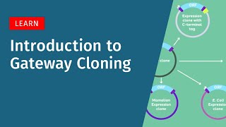 Introduction to Gateway Cloning [upl. by Abbottson]