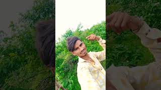 ગુજરાત નો સફર  Singer Ajay Damor 2  Abhishek Mavi  Adivasi Dj Timli Song 2024 [upl. by Amathist583]