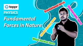 Fundamental forces in nature  Physical world  Class 11 Physics CBSENCERT [upl. by Showker631]