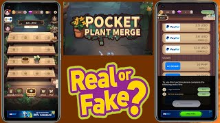 Pocket Plant Merge Legit Ba  Pocket Plant Merge Paga  Pocket Plant Merge Real Or Fake [upl. by Verile]