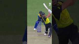 Stopping Marcus Stoinis is no easy task 😤 CricketShorts YTShorts [upl. by Ettenoitna134]