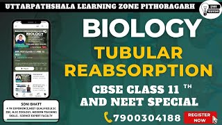 TUBULAR REABSORPTION  HUMAN PHYSIOLOGY  CLASS 11 BIOLOGY CBSE neet cbse study neet [upl. by Joycelin]