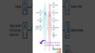 Heart Attack Symptoms  Heart Attack vs Heart Burn Chest pain TypesHi Vision Tv [upl. by Cardie]