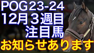 【POG2324】12月３週目デビューの注目新馬を紹介【ラストにお知らせがあります！】 [upl. by Nodnalb591]