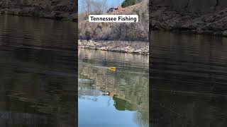 Tennessee fishing Cherokee lake fishing viral shorts [upl. by Godliman]