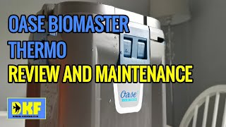 Oase Biomaster Thermo review and maintenance [upl. by Enila675]