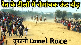 Camel Race 2024  बीकानेर के धोरों में खतरनाक ऊंट दौड़  Camel Race in Camel Festival Bikaner [upl. by Ecraep]