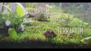 Aquarium to Terrarium [upl. by Wilkinson558]