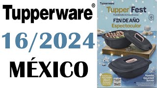 CATALOGO TUPPERWARE TUPPER TIPS 16  2024 MÉXICO [upl. by Bennet]