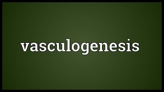 Vasculogenesis Meaning [upl. by Ahseuqal918]