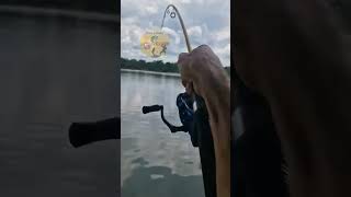 Piraíba gigante 😳 parte 2 pescaria pesque fishing pesquei pesca [upl. by Eetnahc]