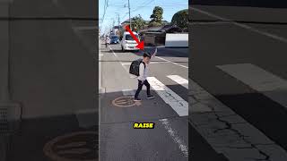 How children cross the road in Japan🤯 [upl. by Attolrac655]