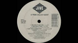 Can I Kick It Spirits  A Tribe Called Quest [upl. by Eissed]