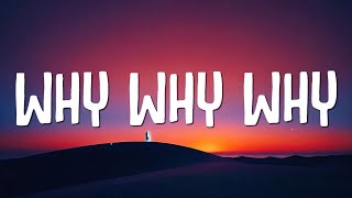 Shawn Mendes  Why Why Why Lyrics [upl. by Sotnas]