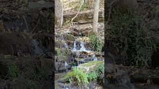 Woods and water Dogwood canyon Missouri [upl. by Arreik]