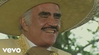 Vicente Fernández  Un Millon De Primaveras [upl. by Htiduj172]