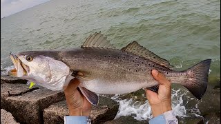 Texas City Dike Fishing They were all MASSIVE S6 E68 [upl. by Ogaitnas]