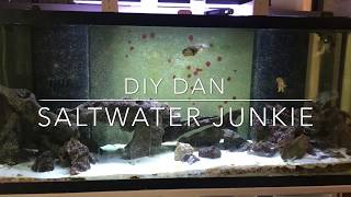 UPDATE ON DENITRATOR BUILDS amp UPDATE ON HUGE ALGAE SCRUBBER BUILD AS WELL [upl. by Mazel]