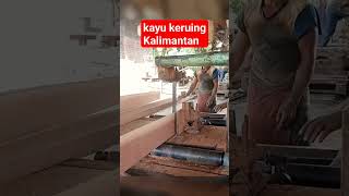 kayu keruing Kalimantan sawmill carpentry sawmillindonesia woodwork bandsaw furniture [upl. by Eniamzaj]