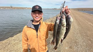 Public Highway Walleye Shore Fishing CATCH CLEAN COOK [upl. by Sirrep]