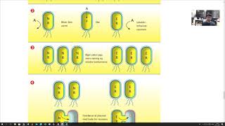 SOSU Naturfag C Kapitel 14 Bakterier antibiotika og resisten [upl. by Akciret]