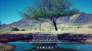 The Best Blessing 这一生最美的祝福 w subtitles in 6 languages [upl. by Orianna24]