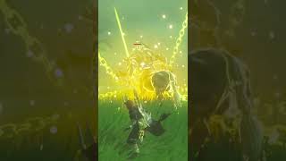 Double boomerang spin Lynel kill botw breathofthewild [upl. by Notgnirrab491]