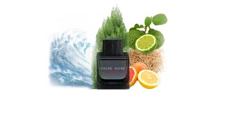 تجربتي وتقيمي لعطر انكر نوار سبورت Encre Noire Sport 🌲🌊🍊 [upl. by Clippard]