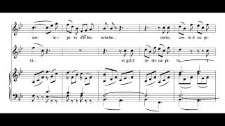 Sull’aria Le Nozze di Figaro  WA Mozart Score Animation [upl. by Christal252]