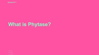 What is Phytase [upl. by Niveg337]