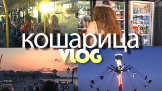 Kosharitsa Bulgaria Vlog 「🌊𝕤𝕦𝕞𝕞𝕖𝕣 𝕥𝕣𝕚𝕡☀️」𝐂𝐃 𝐕𝐋𝐎𝐆𝐒 [upl. by Cathie634]