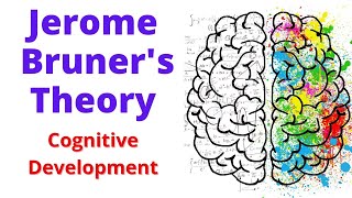 BRUNER Theory Of Cognitive Development  cognitive development theory by bruner [upl. by Niro]