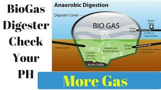 How To Test Biogas Digester PH Easy Fix  New Off Grid Home [upl. by Olimac]