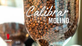 ¿Cómo ajustar el molinillo de la cafetera El tamaño correcto de molienda para tu café [upl. by Ettenaej539]