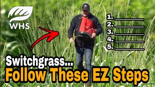 How EZ Switchgrass Plantings Are For Wildlife [upl. by Erreip]