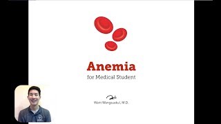 Anemia — Part 1 Introduction and Underproductive Anemia [upl. by Iramo355]