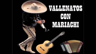 AMARTE MAS NO PUEDO  SERENATA VALLENATA CON MARIACHI [upl. by Beekman]