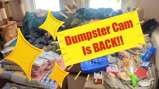 Im Back Dumpster Diving for Food and Black Friday Haul 💲💲💲 [upl. by Ahteres]